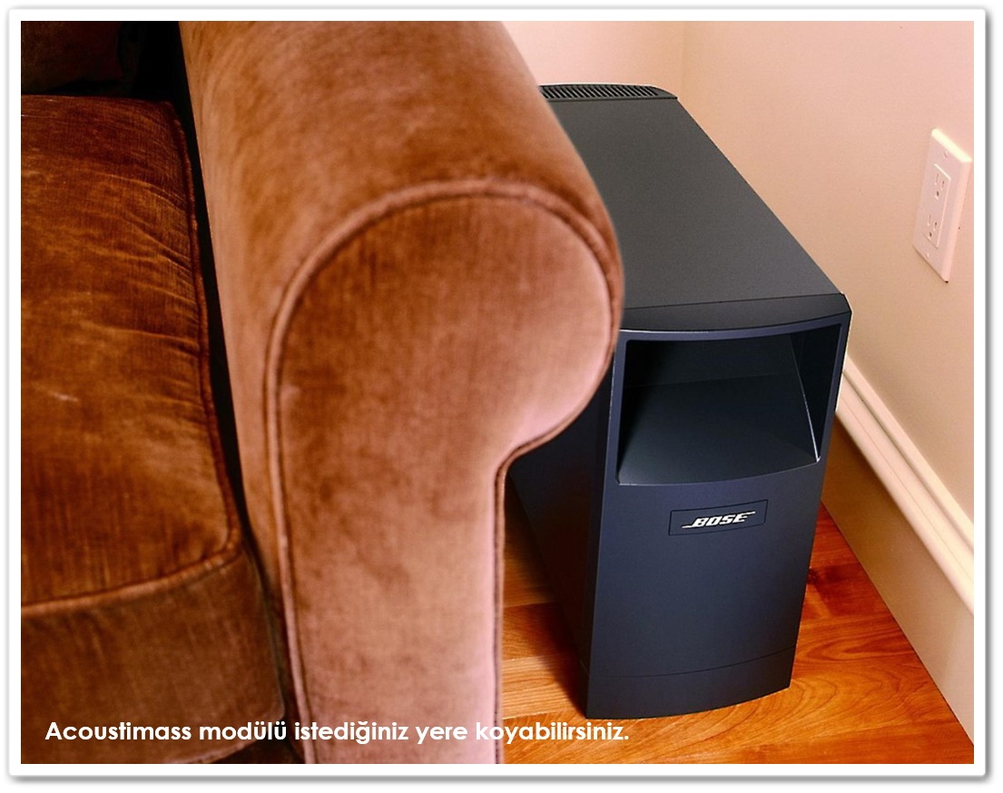 Bose Acoustimass 10 Series IV camarossAUDIO